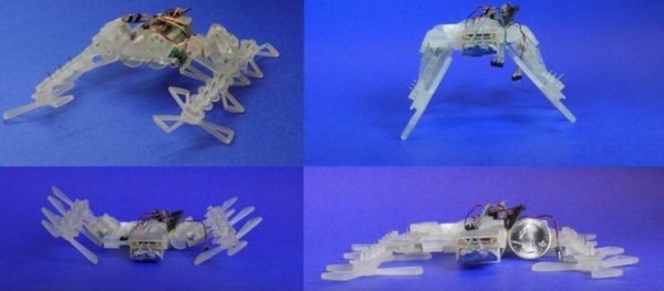 STAR -   - 3